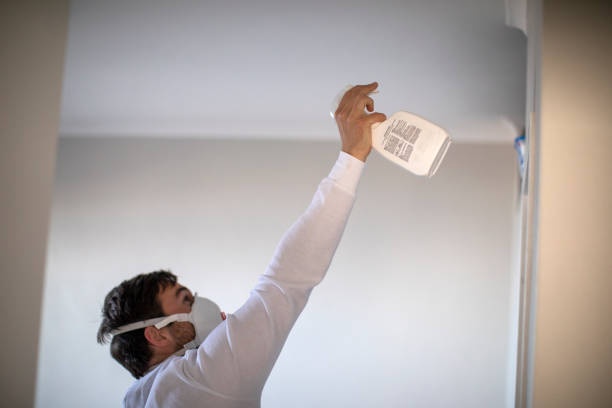 Best Home Mold Removal  in Woonsocket, RI