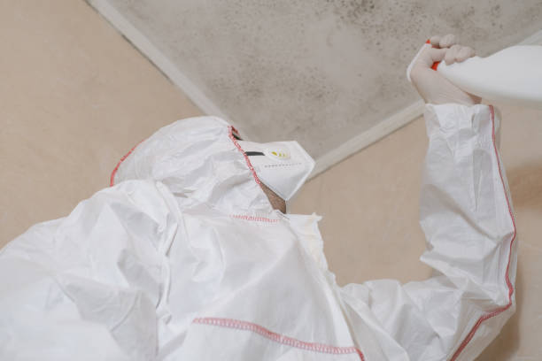 Best Mold Removal Company Near Me  in Woonsocket, RI